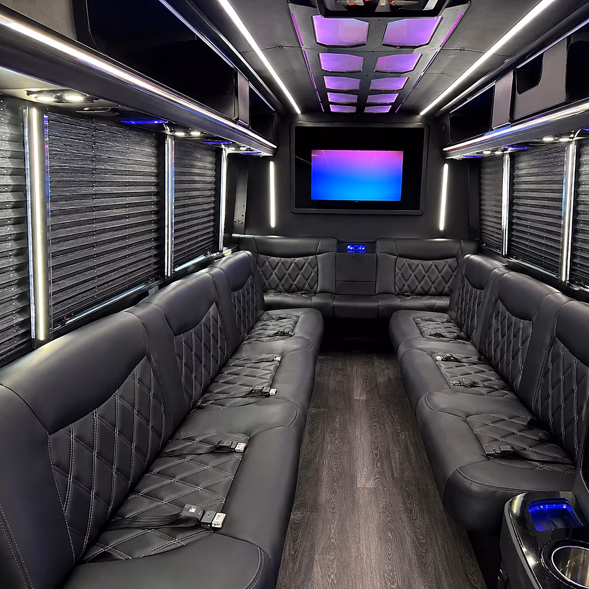 lodi party bus rental interior